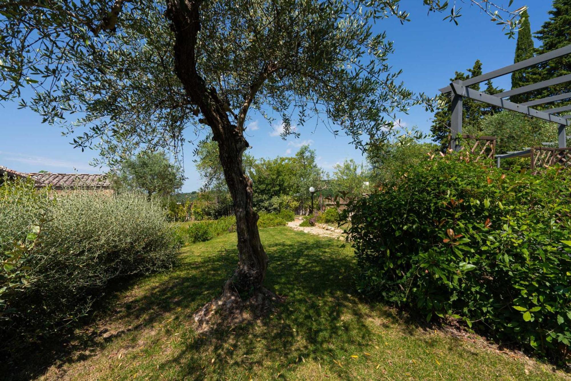 Casa Alta Apartment Greve in Chianti Bagian luar foto